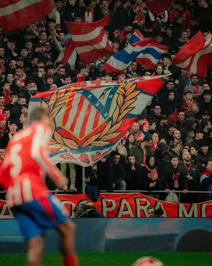 经历投入结 经历投入结