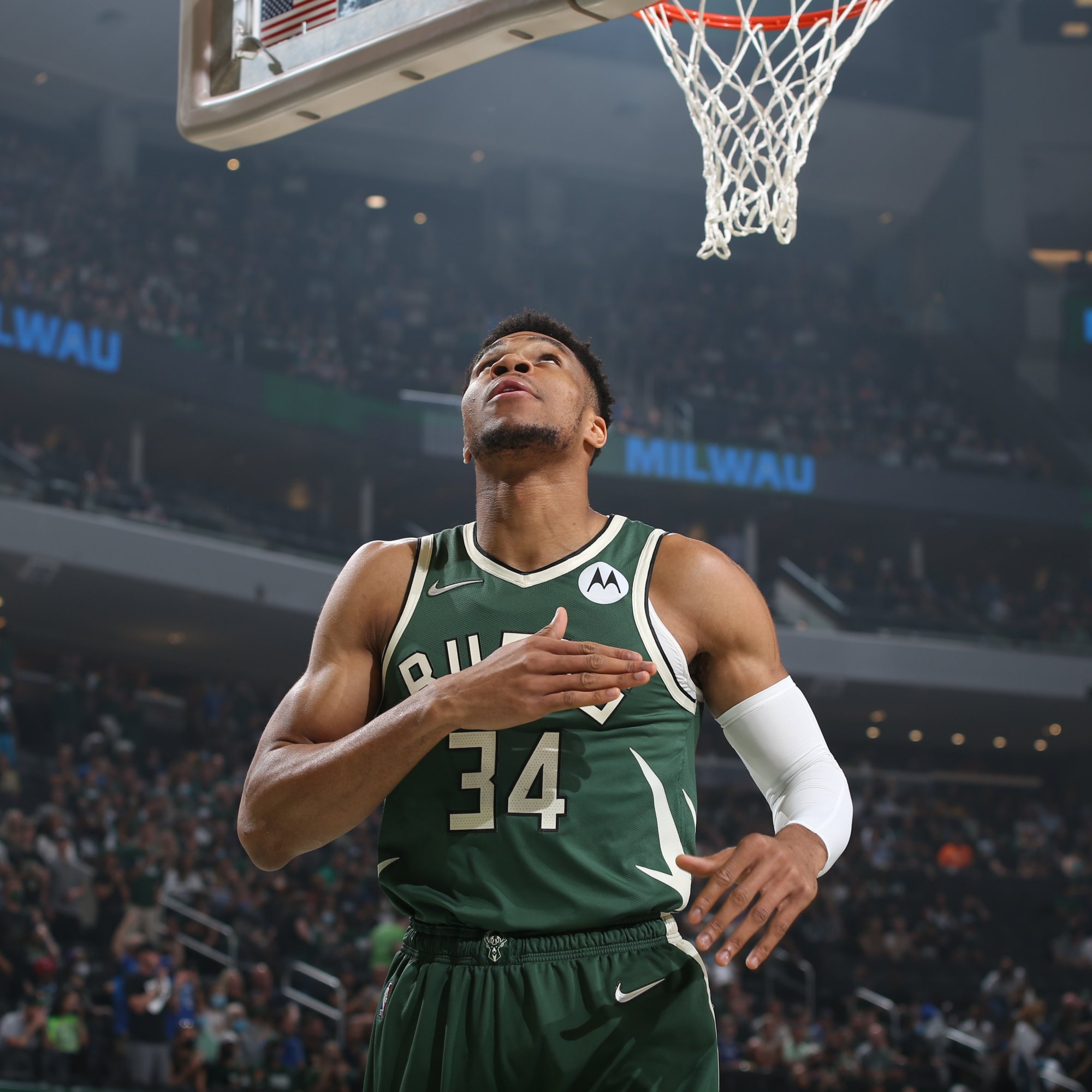 自然检索 自然检索